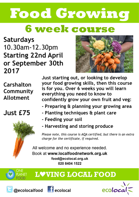 6 week POSTER both dates 2017 A4