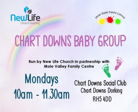 Chart Downs Baby Group - square