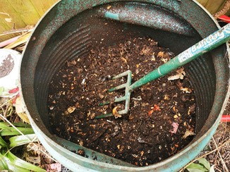 Compost in the bin
