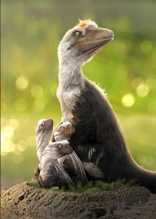 Dakota Raptor