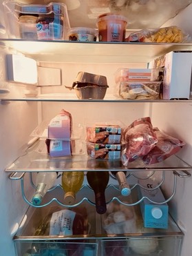 fridge pic