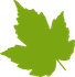 light-green-leaf-md