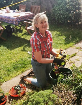 Mary planting tomatoes 1