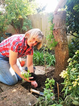 Mary planting