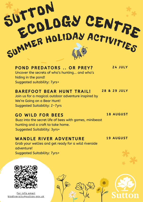 Summer Poster 2025