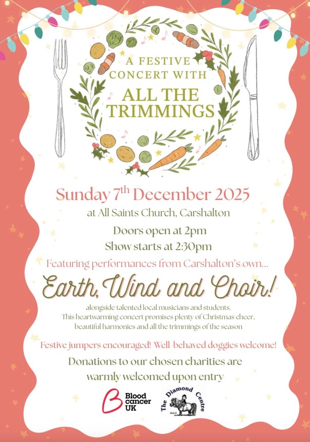 595510155 4426295094269944 7469673969140208967 n