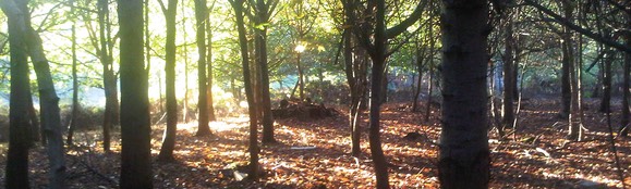 bushcraft-dofe-1920x577