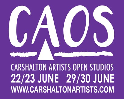 CAOS19 logo dates