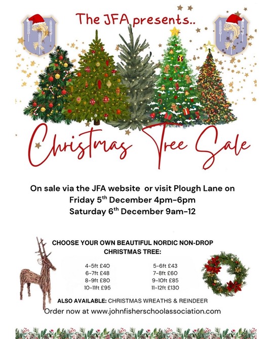 Christmas tree sales (3)