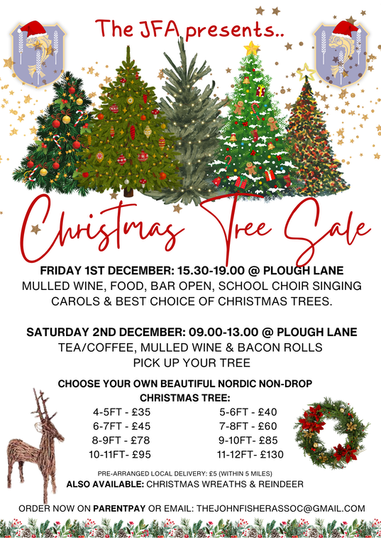 Christmas Tree Sale 2023