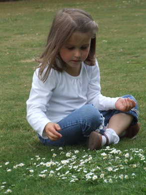 D Nonsuch Picking daisies