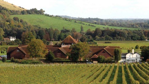 denbies-wine-estate-2-915px_med