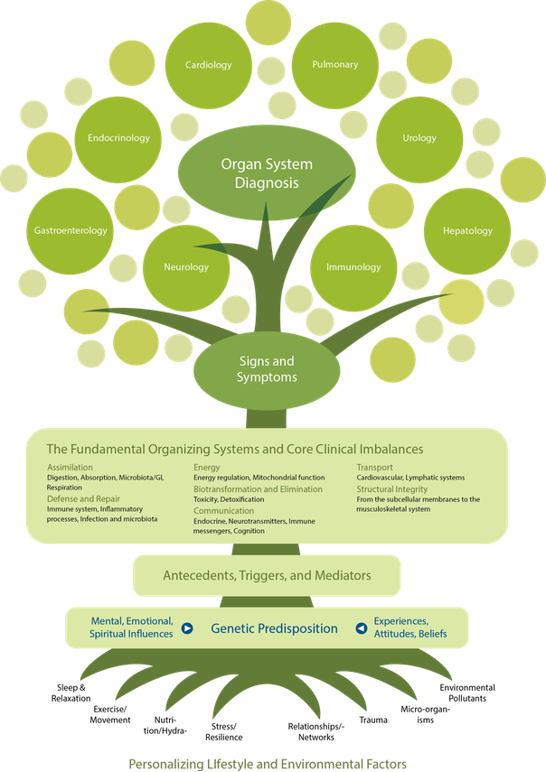 IFM Tree