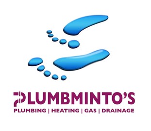 plumbminto's logo larger