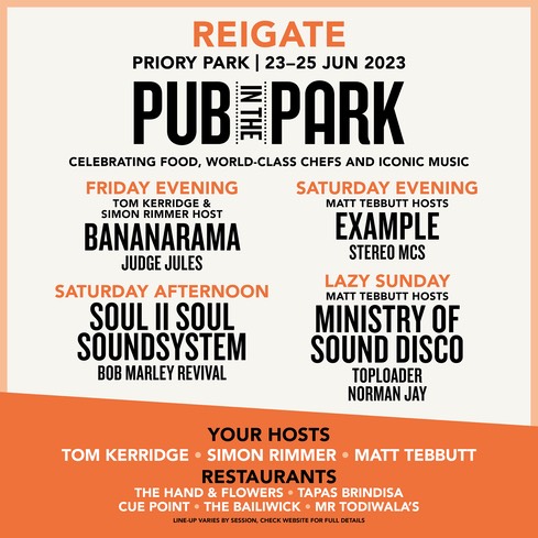 Pub In The Park 2023 - Lineup Posters V11 Square - 5 Reigate